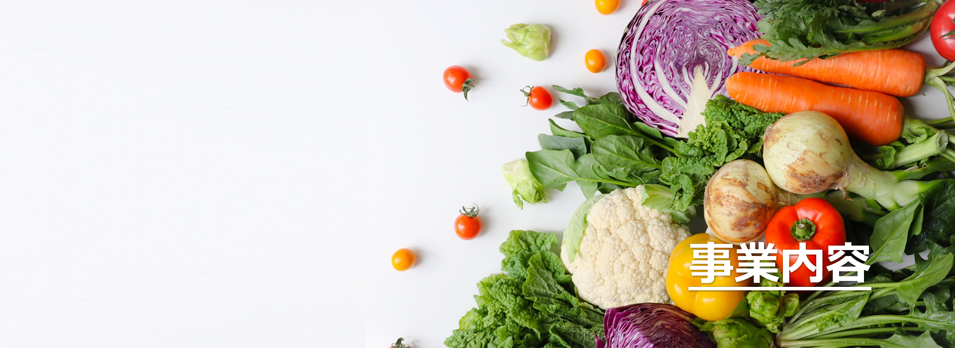 事業内容